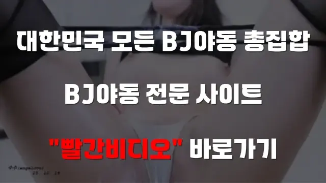 BJ야동 전문 빨간비디오